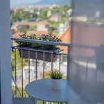 Lavanda 